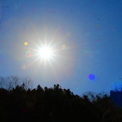 小菅トラウトガーデン 釣果