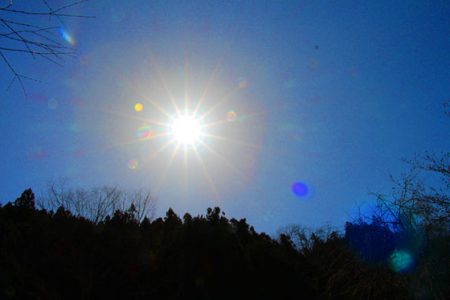 小菅トラウトガーデン 釣果