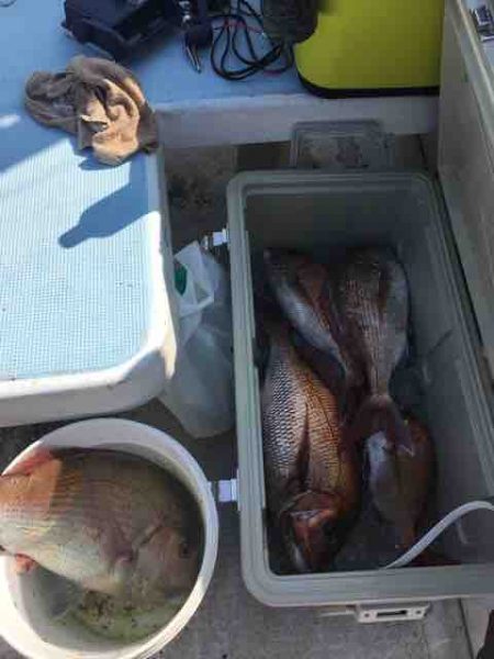 龍宮丸 釣果