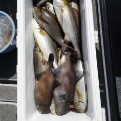 第二大福丸 釣果