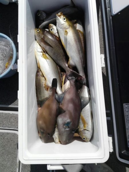 第二大福丸 釣果