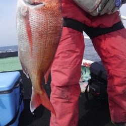 遊漁船 新鋭丸 釣果