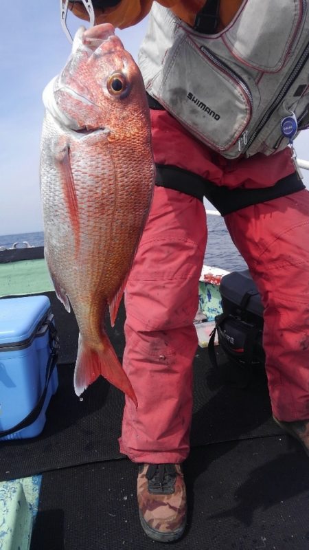 遊漁船 新鋭丸 釣果