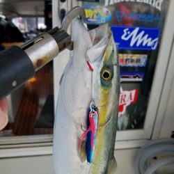 遊漁船 ニライカナイ 釣果