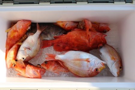 へいみつ丸 釣果