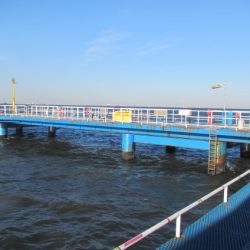 オリジナルメーカー海づり公園(市原市海づり施設) 釣果