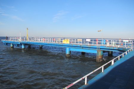 オリジナルメーカー海づり公園(市原市海づり施設) 釣果