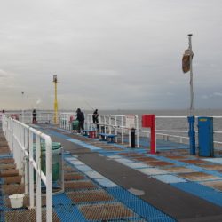オリジナルメーカー海づり公園(市原市海づり施設) 釣果