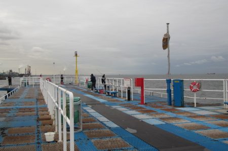 オリジナルメーカー海づり公園(市原市海づり施設) 釣果
