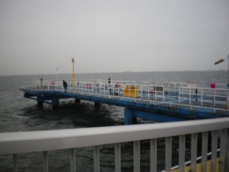 オリジナルメーカー海づり公園(市原市海づり施設) 釣果