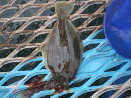 オリジナルメーカー海づり公園(市原市海づり…