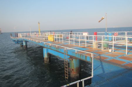 オリジナルメーカー海づり公園(市原市海づり施設) 釣果