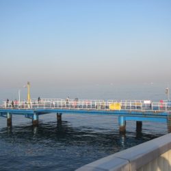 オリジナルメーカー海づり公園(市原市海づり施設) 釣果