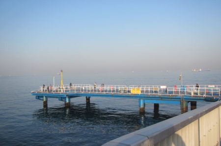 オリジナルメーカー海づり公園(市原市海づり施設) 釣果