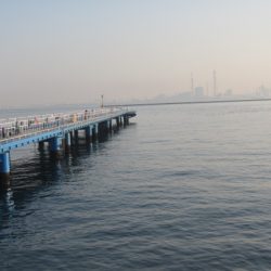 オリジナルメーカー海づり公園(市原市海づり施設) 釣果