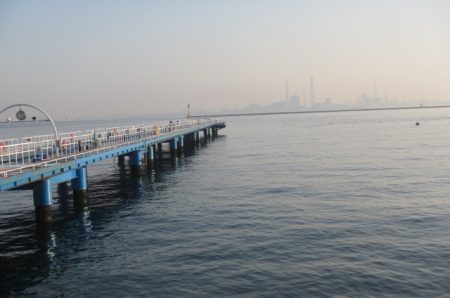 オリジナルメーカー海づり公園(市原市海づり施設) 釣果