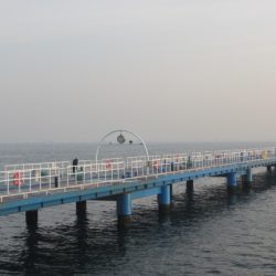 オリジナルメーカー海づり公園(市原市海づり施設) 釣果