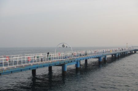 オリジナルメーカー海づり公園(市原市海づり施設) 釣果