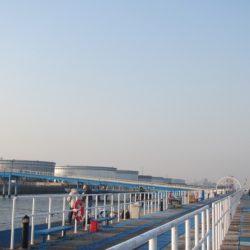 オリジナルメーカー海づり公園(市原市海づり施設) 釣果