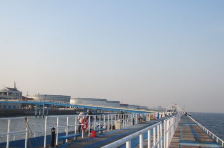 オリジナルメーカー海づり公園(市原市海づり施設) 釣果