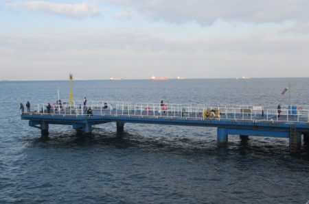 オリジナルメーカー海づり公園(市原市海づり施設) 釣果
