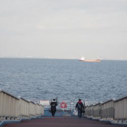 オリジナルメーカー海づり公園(市原市海づり施設) 釣果