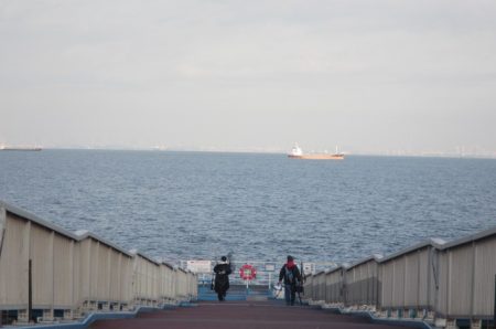 オリジナルメーカー海づり公園(市原市海づり施設) 釣果