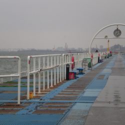 オリジナルメーカー海づり公園(市原市海づり施設) 釣果