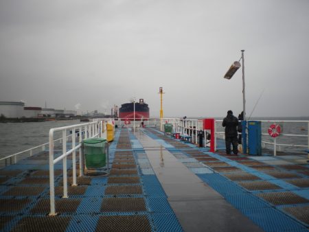 オリジナルメーカー海づり公園(市原市海づり施設) 釣果