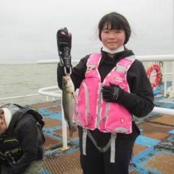 オリジナルメーカー海づり公園(市原市海づり施設) 釣果