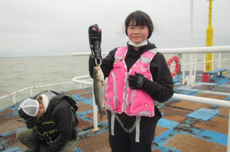 オリジナルメーカー海づり公園(市原市海づり施設) 釣果