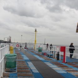 オリジナルメーカー海づり公園(市原市海づり施設) 釣果