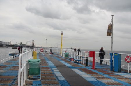 オリジナルメーカー海づり公園(市原市海づり施設) 釣果