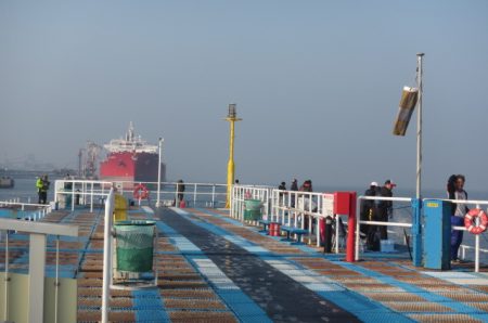 オリジナルメーカー海づり公園(市原市海づり施設) 釣果