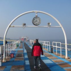 オリジナルメーカー海づり公園(市原市海づり施設) 釣果