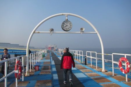 オリジナルメーカー海づり公園(市原市海づり施設) 釣果