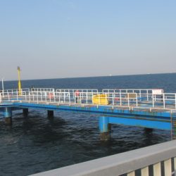 オリジナルメーカー海づり公園(市原市海づり施設) 釣果