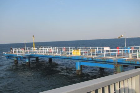 オリジナルメーカー海づり公園(市原市海づり施設) 釣果