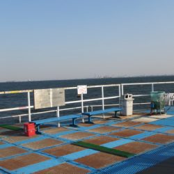 オリジナルメーカー海づり公園(市原市海づり施設) 釣果