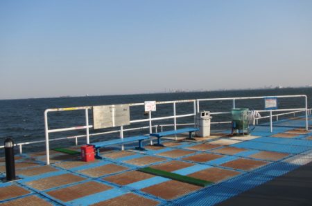 オリジナルメーカー海づり公園(市原市海づり施設) 釣果