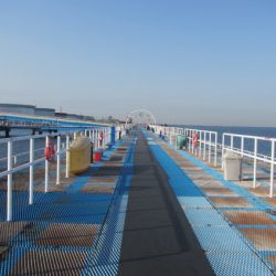 オリジナルメーカー海づり公園(市原市海づり施設) 釣果