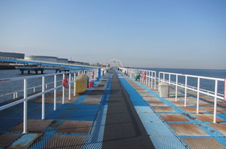 オリジナルメーカー海づり公園(市原市海づり施設) 釣果