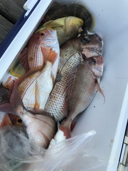 寿裕 （YOSHIHIRO） 釣果