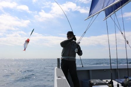 へいみつ丸 釣果