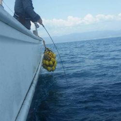 第五慶門丸 釣果