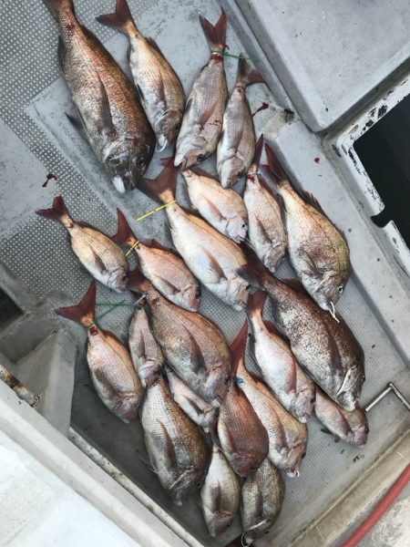 寿裕 （YOSHIHIRO） 釣果