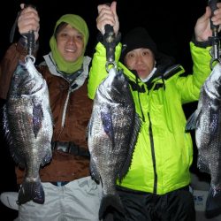 TOPGUN名古屋 釣果