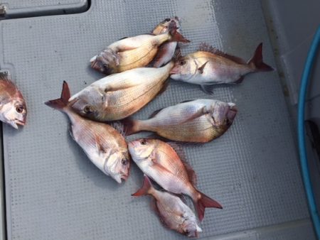 遊漁船高橋 釣果