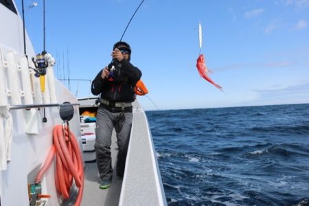 へいみつ丸 釣果