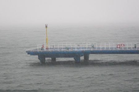 オリジナルメーカー海づり公園(市原市海づり施設) 釣果